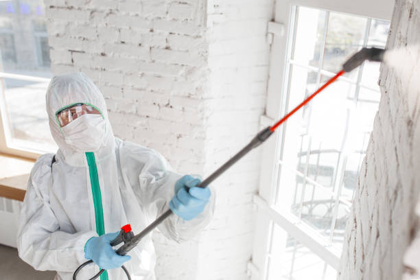 Best Emergency Mold Remediation  in Alamogordo, NM
