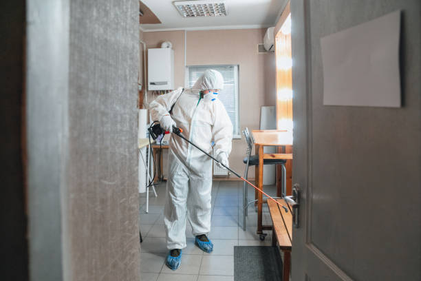 Best Residential Mold Inspection & Testing  in Alamogordo, NM