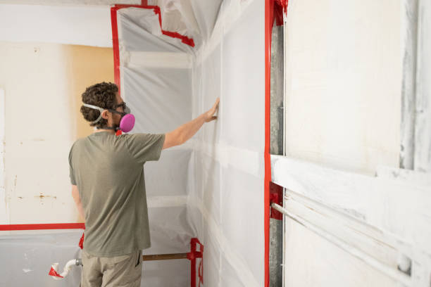 Best HVAC Mold Inspection and Cleaning  in Alamogordo, NM